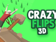 img Crazy Flips 3D